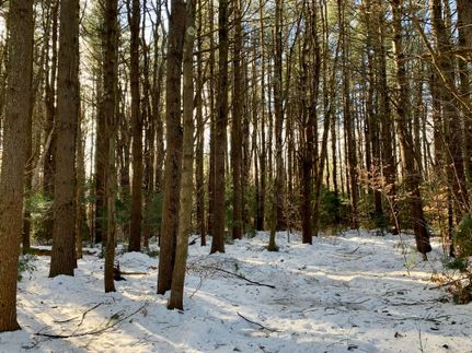 Property in Hampden County, Massachusetts