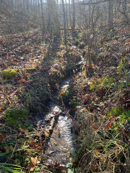 Property in Russell County, Virginia