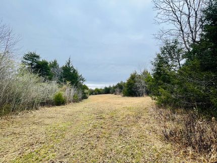 Property in Pontotoc County, Mississippi