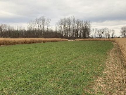 Property in Montcalm County, Michigan