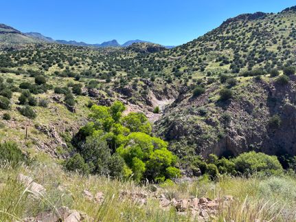 Property in Greenlee County, Arizona