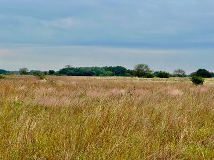 Property in Victoria County, Texas