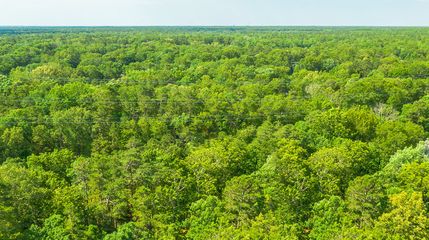 Property in Atlantic County, New Jersey