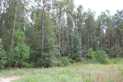 Recreational Property for sale in Polk County, Texas