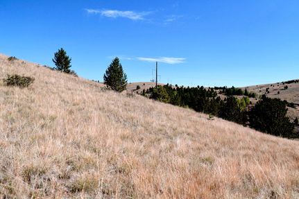 Property in Teller County, Colorado
