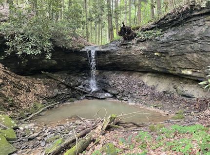 Property in Upshur County, West Virginia