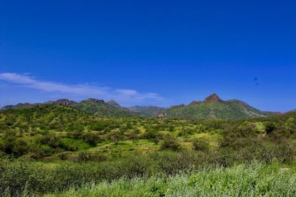 Ranch Property for sale in Santa Cruz County, Arizona