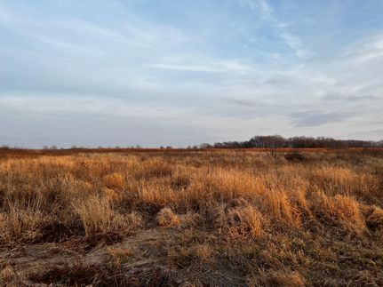 Property in Christian County, Illinois