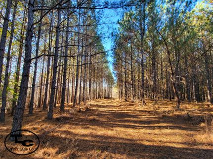 Property in McNairy County, Tennessee