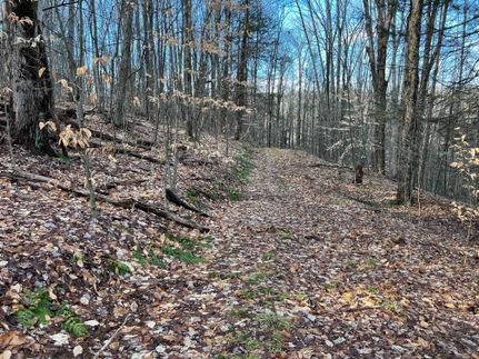 Property in Tioga County, New York