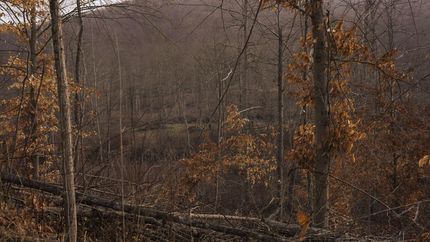 Property in Pike County, Ohio