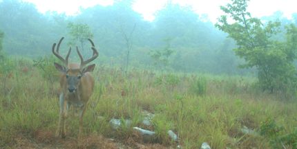 Property in Le Flore County, Oklahoma