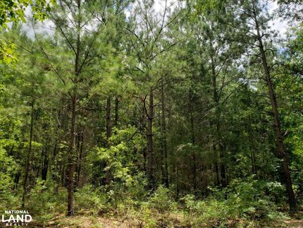 Property in Barbour County, Alabama