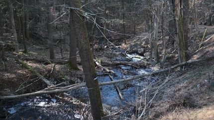 Property in Sullivan County, New York