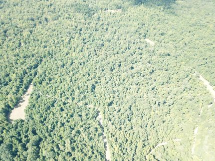 Property in Caldwell Parish, Louisiana