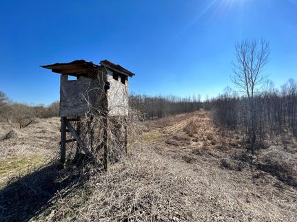 Property in Union County, Mississippi