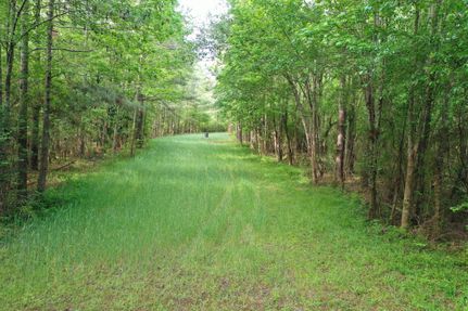 Property in Tangipahoa Parish, Louisiana