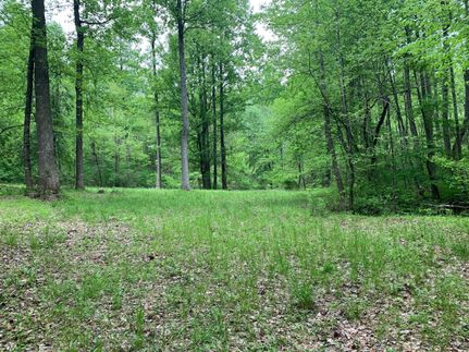 Property in Albemarle County, Virginia