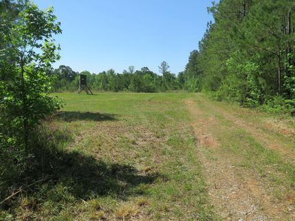 Property in Clarke County, Mississippi