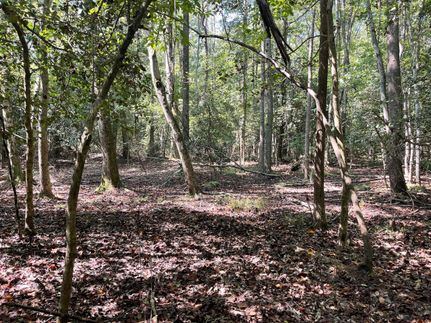 Property in Wayne County, North Carolina