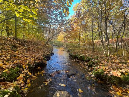 Property in Wayne County, Pennsylvania