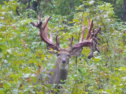 Property in Washington County, Ohio