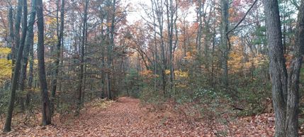 Property in Clinton County, Pennsylvania