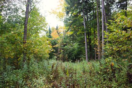 Property in Clinton County, New York