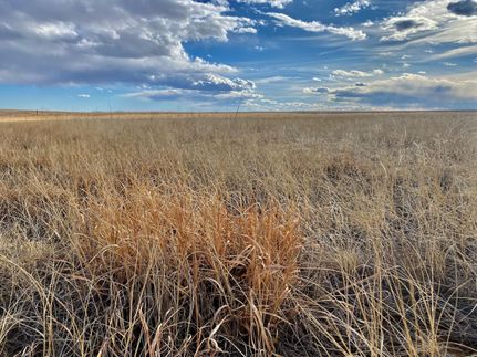 Property in Adams County, Colorado