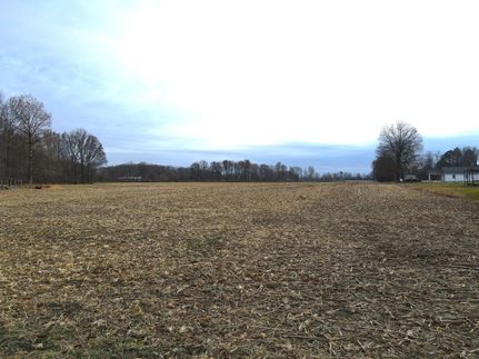 Property in Hamilton County, Illinois