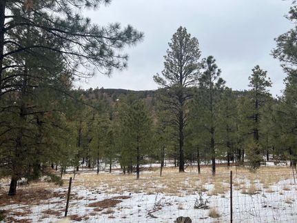 Property in Cibola County, New Mexico
