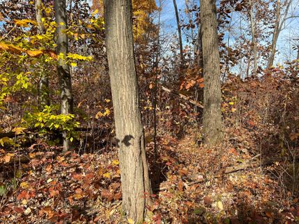 Property in Venango County, Pennsylvania