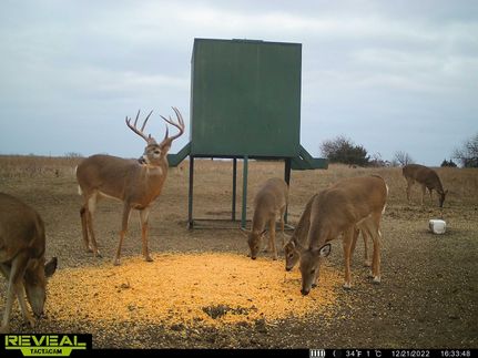 Property in Woodson County, Kansas