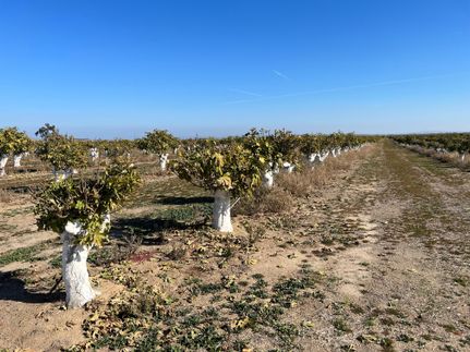 Property for sale in Madera County, California