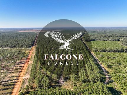 Property in Polk County, Texas