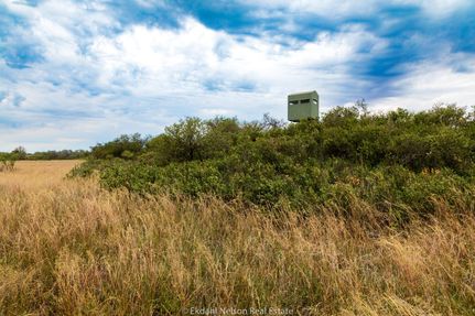 Property in Cottle County, Texas