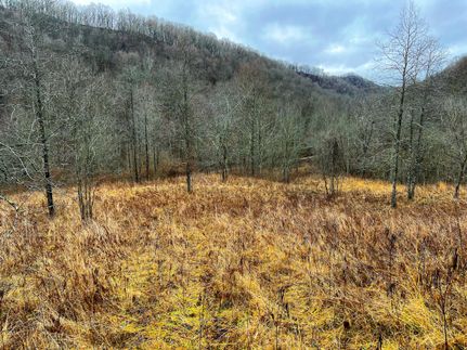 Property in Calhoun County, West Virginia