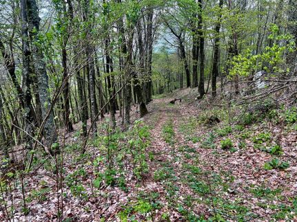 Property in Johnson County, Tennessee