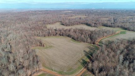Property in Carlisle County, Kentucky