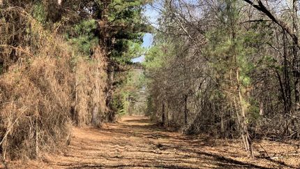 Property in Red River County, Texas