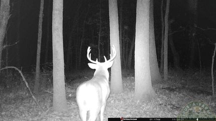 Property in Jackson County, Illinois