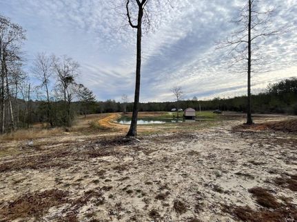 Property in Wayne County, Mississippi