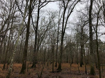 Undeveloped Land for sale in Clark County, Arkansas