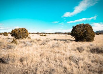 Property in McKinley County, New Mexico