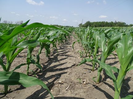 Property in Steele County, North Dakota