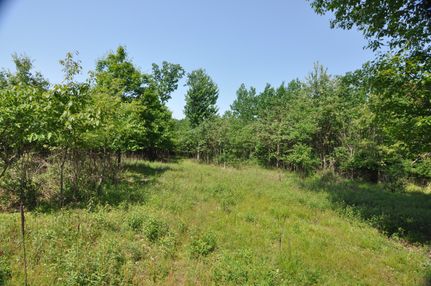 Property in Northumberland County, Pennsylvania