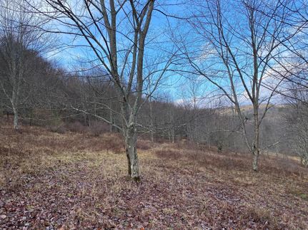 Property in Clearfield County, Pennsylvania