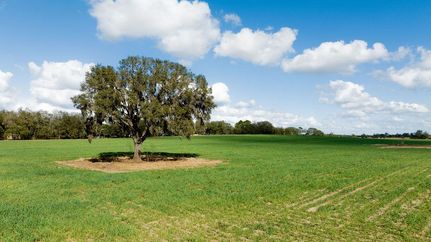 Property in Levy County, Florida