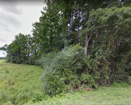 Property in Duplin County, North Carolina