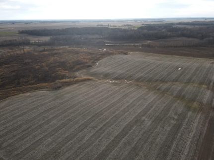 Property in Clay County, Illinois